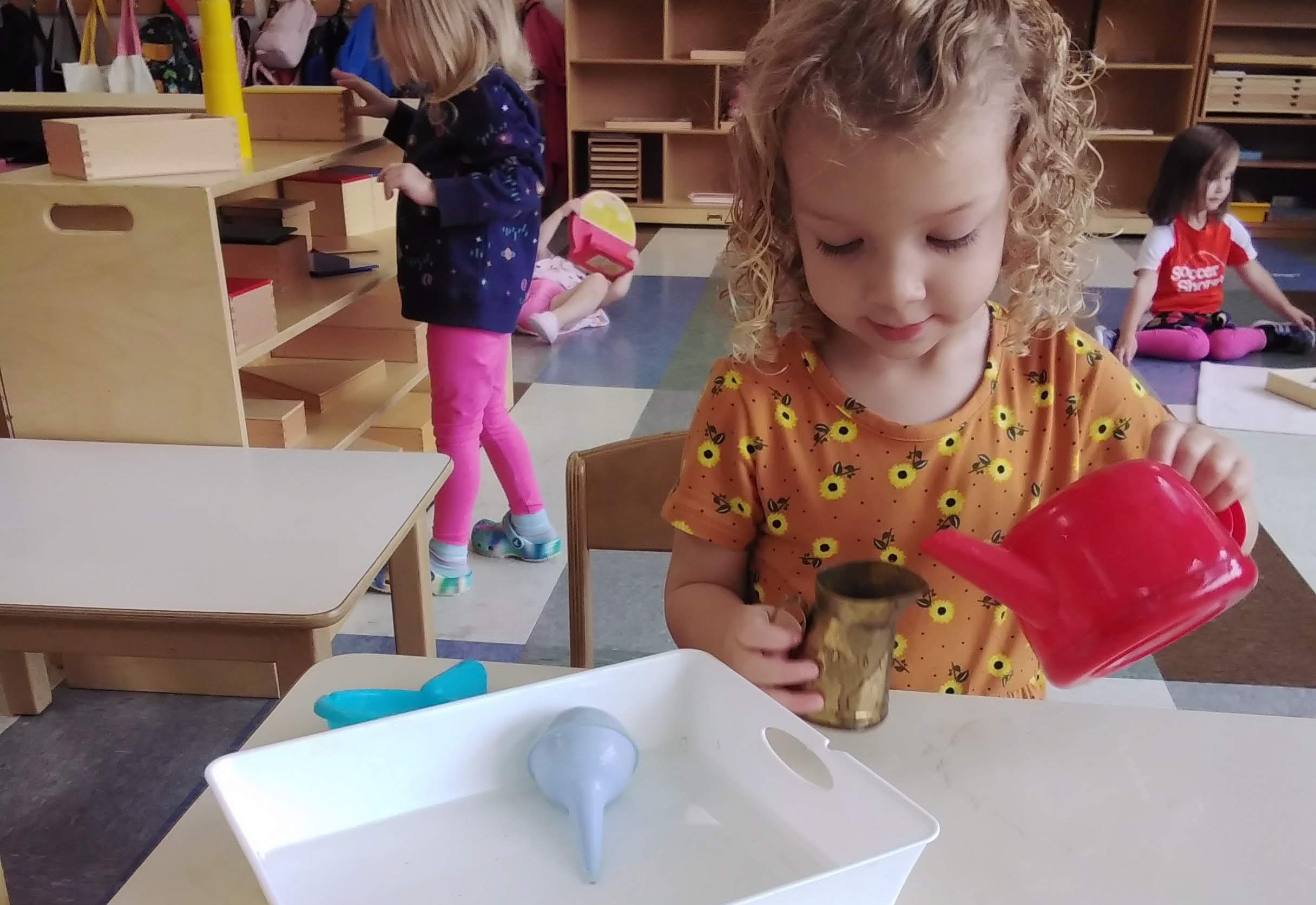 Montessori Program - Arlington Public Schools
